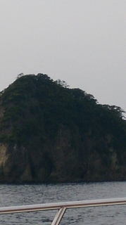 20150430210201305.jpg